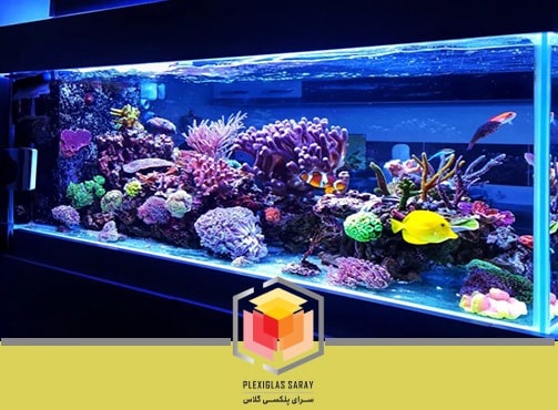 ساخت آکواریوم پلکسی گلاس
